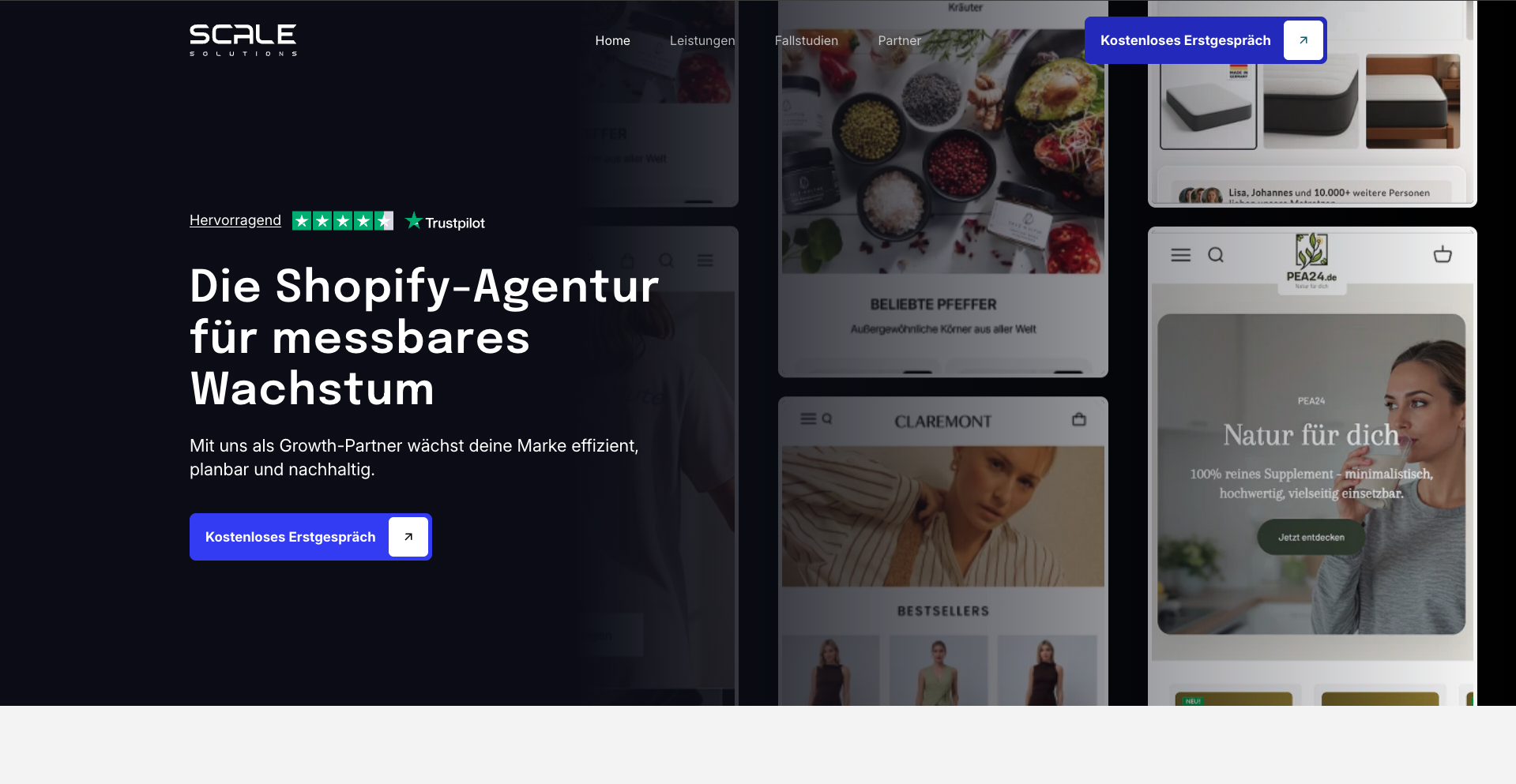 Scale Solutions Shopify store redesign